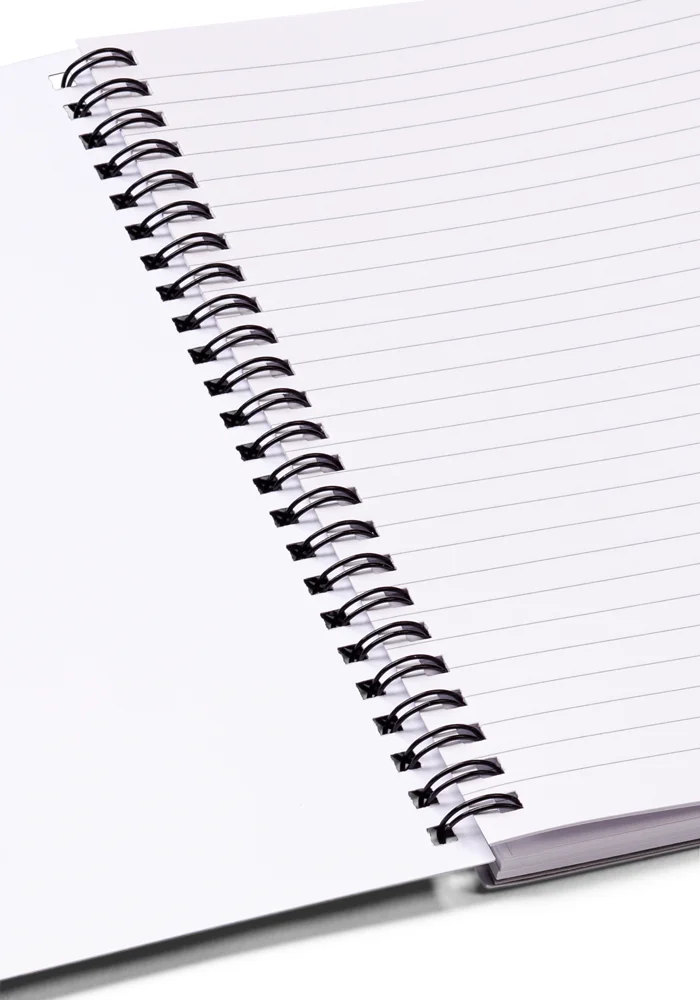 Arts & Culture x Cara Fischer: Limited Edition Notebook - Image 2